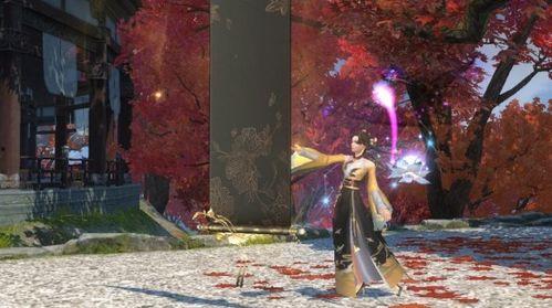 天龙主播爆料视频,揭秘幕后精彩瞬间  第3张