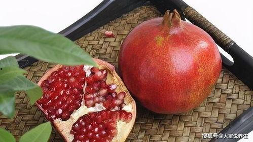 石榴夫妻网红吃瓜图片,趣味横生瞬间捕捉